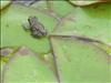 Jardin Botanico (10)